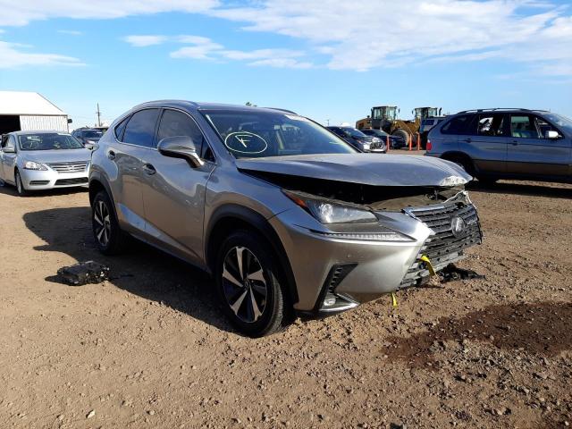 LEXUS NX 300 BAS 2019 with VIN JTJYARBZ4K2120744 - Photo from auction