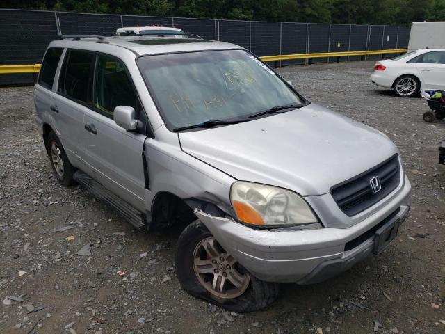 HONDA PILOT EXL 2005 with VIN 5FNYF18505B054494 - Photo from auction