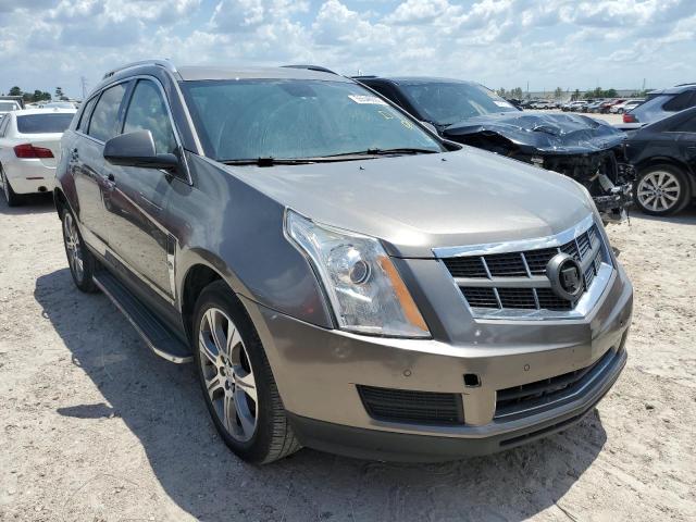 CADILLAC SRX PERFOR 2012 with VIN 3GYFNEE32CS501927 - Photo from auction