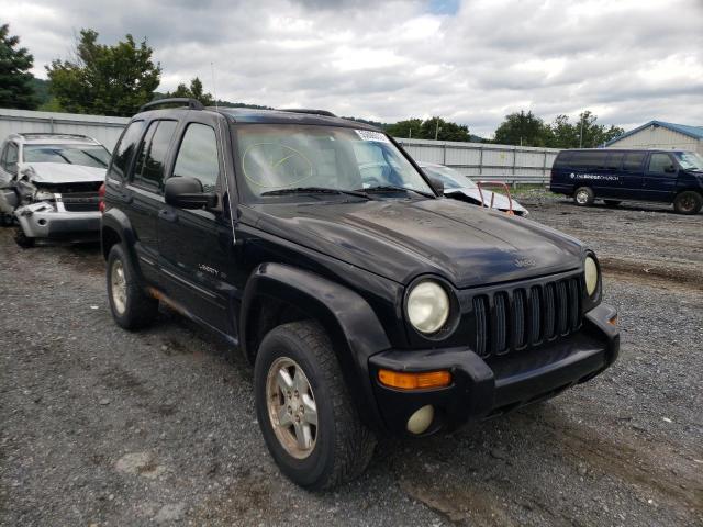 JEEP LIBERTY LI 2002 with VIN 1J4GL58K02W152637 - Photo from auction