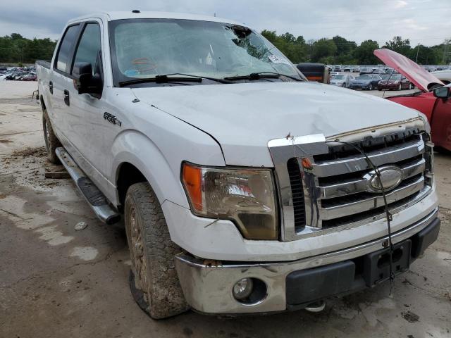 Photo 1 from auction – 2009 FORD F150 SUPER with VIN 1FTPW14V99FA46364