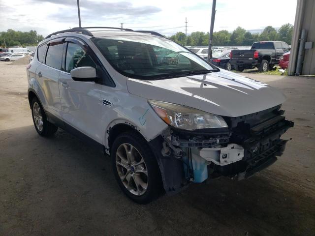 FORD ESCAPE SE 2013 with VIN 1FMCU0GX5DUB82258 - Photo from auction