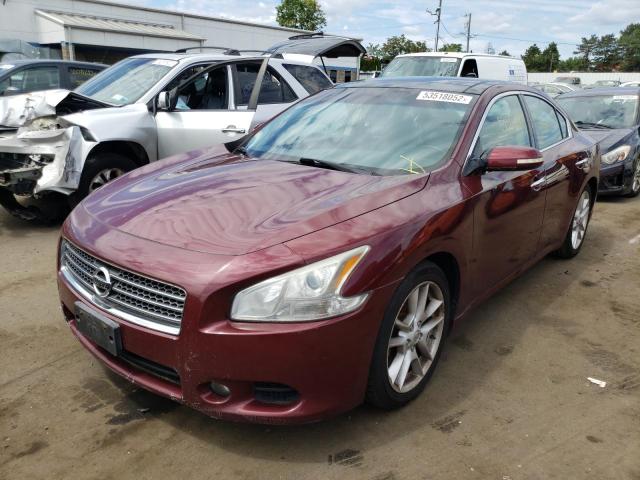 Photo 2 from auction – 2009 NISSAN MAXIMA with VIN 1N4AA51E19C822509