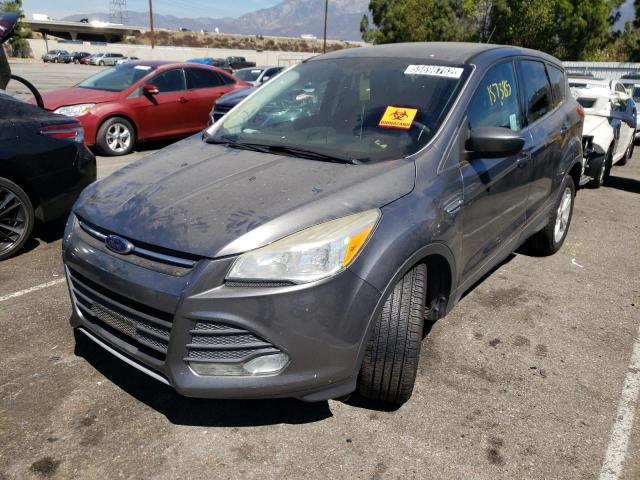 Photo 2 from auction – 2014 FORD ESCAPE SE with VIN 1FMCU0GX8EUD51335
