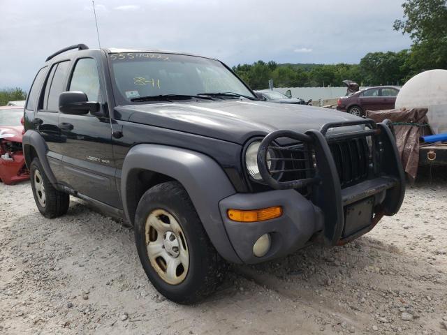 Photo 1 from auction – 2003 JEEP LIBERTY SP with VIN 1J4GL48K33W671726