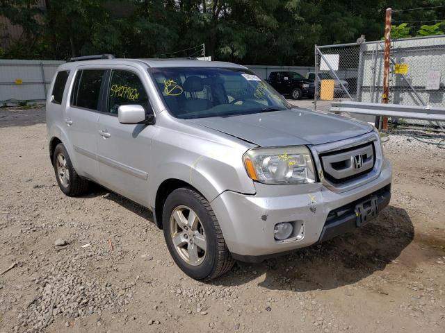 HONDA PILOT EXL 2009 with VIN 5FNYF48519B003836 - Photo from auction
