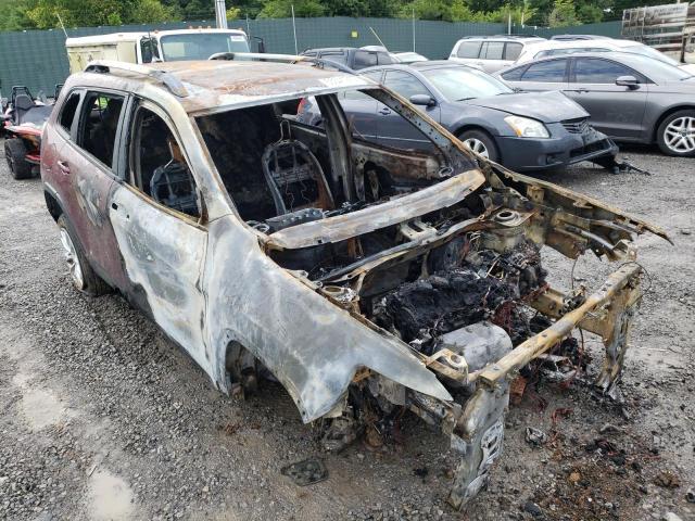 JEEP CHEROKEE 4 2021 with VIN 1C4PJLCB6MD103920 - Photo from auction