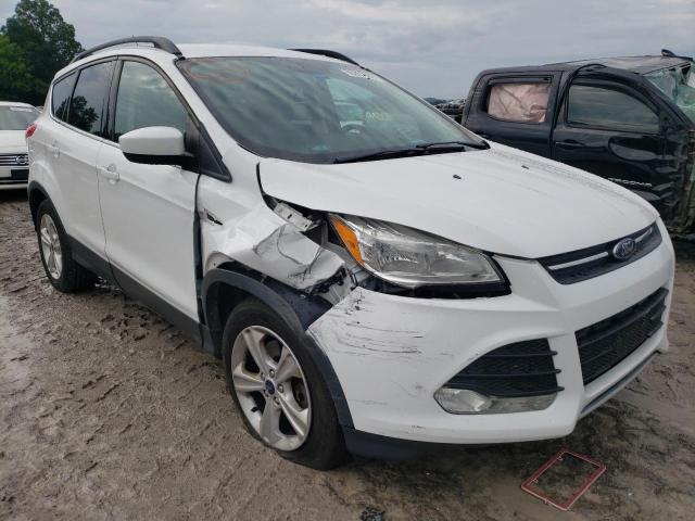 FORD ESCAPE SE 2016 with VIN 1FMCU9GX2GUC67843 - Photo from auction