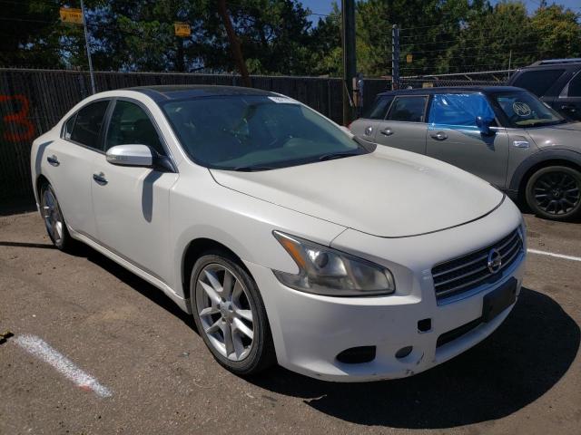 NISSAN MAXIMA S 2010 with VIN 1N4AA5AP7AC804876 - Photo from auction