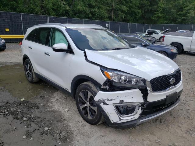 KIA SORENTO EX 2017 with VIN 5XYPHDA10HG260202 - Photo from auction