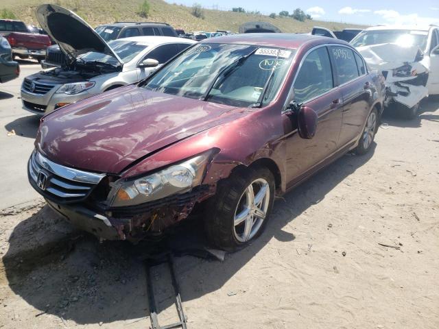 Photo 2 from auction – 2011 HONDA ACCORD EXL with VIN 1HGCP2F81BA048283