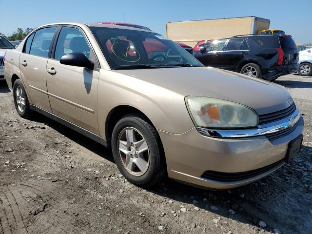 CHEVROLET MALIBU 2004 with VIN 1G1ZT528X4F202855 - Photo from auction
