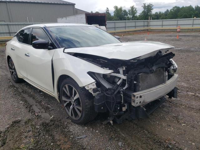 NISSAN MAXIMA S/S 2016 with VIN 1N4AA6AP4GC434839 - Photo from auction
