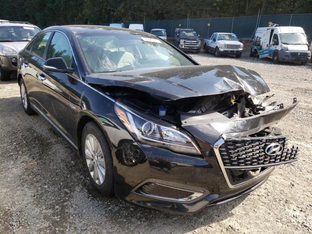 HYUNDAI SONATA HYB 2017 with VIN KMHE24L13HA044006 - Photo from auction