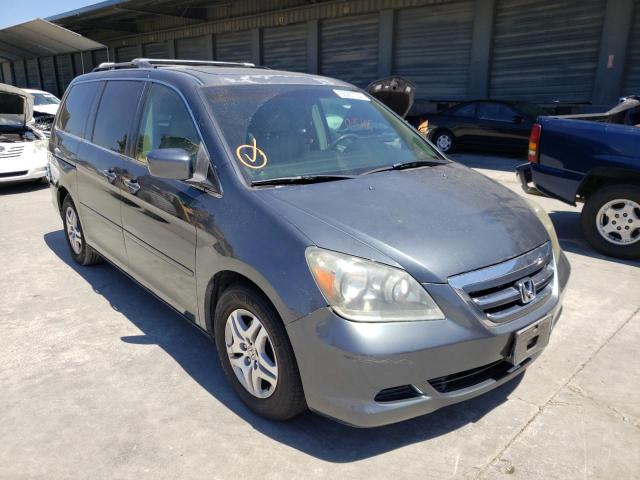 HONDA ODYSSEY EX 2005 with VIN 5FNRL38605B407656 - Photo from auction
