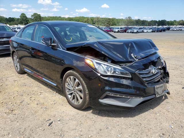 HYUNDAI SONATA SPO 2015 with VIN 5NPE34AF6FH031448 - Photo from auction