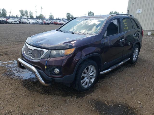 Photo 2 from auction – 2011 KIA SORENTO EX with VIN 5XYKUCA13BG185633