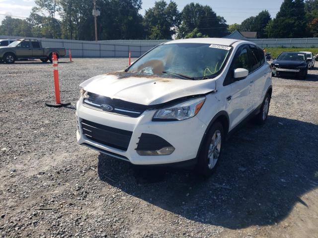 Photo 2 from auction – 2013 FORD ESCAPE SE with VIN 1FMCU9GX0DUA42445