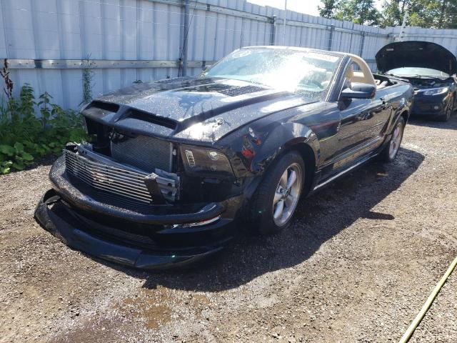 Photo 2 from auction – 2008 FORD MUSTANG with VIN 1ZVHT84N385137847