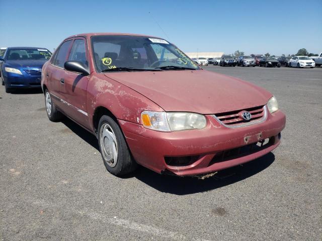 TOYOTA COROLLA CE 2001 with VIN 1NXBR12E61Z516933 - Photo from auction