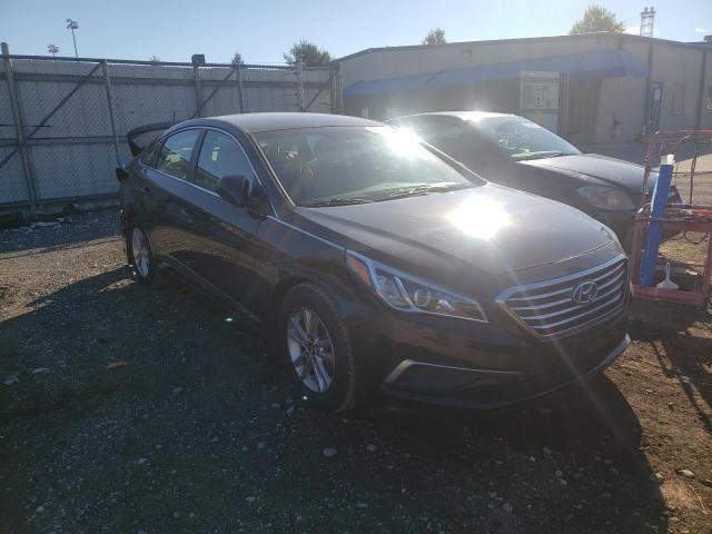 HYUNDAI SONATA SE 2016 with VIN 5NPE24AF4GH356216 - Photo from auction