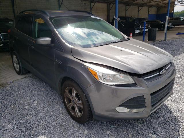 FORD ESCAPE SE 2014 with VIN 1FMCU0GX4EUB61807 - Photo from auction