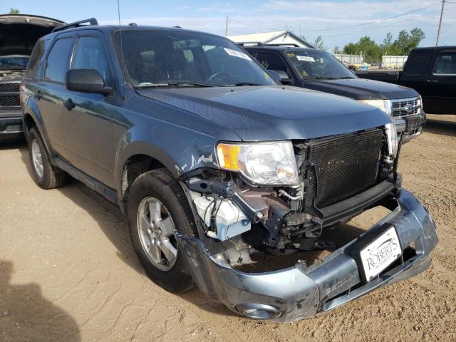 FORD ESCAPE XLT 2010 with VIN 1FMCU0D76AKC30491 - Photo from auction