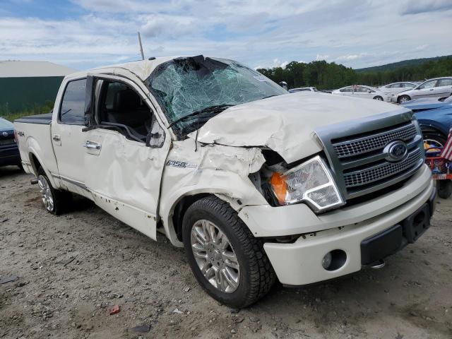 FORD F150 SUPER 2009 with VIN 1FTPW14V99FA43531 - Photo from auction
