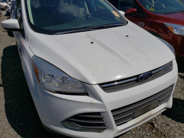 Photo 9 from auction – 2013 FORD ESCAPE SE with VIN 1FMCU9GX5DUB94236