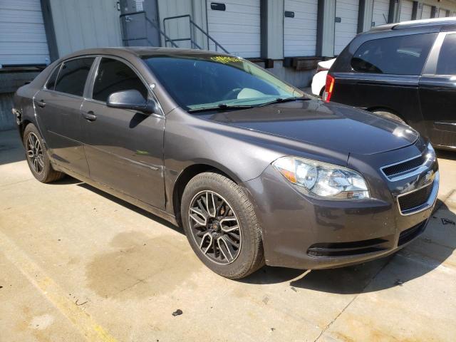 CHEVROLET MALIBU LS 2012 with VIN 1G1ZA5E05CF384135 - Photo from auction