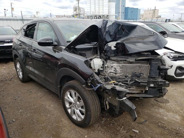 HYUNDAI TUCSON SE 2020 with VIN KM8J2CA42LU161556 - Photo from auction