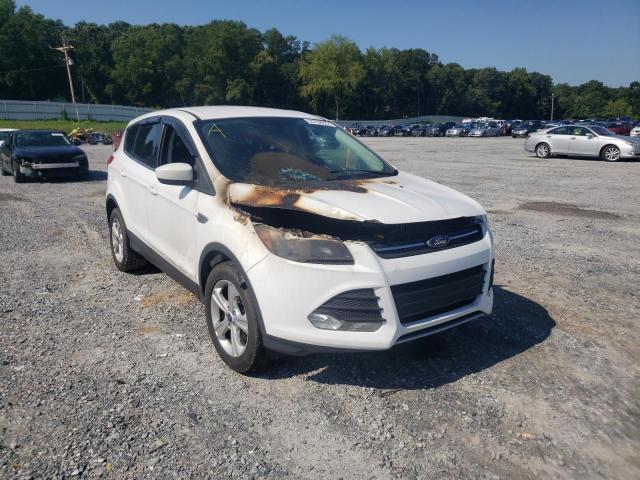 Photo 1 from auction – 2013 FORD ESCAPE SE with VIN 1FMCU9GX0DUA42445