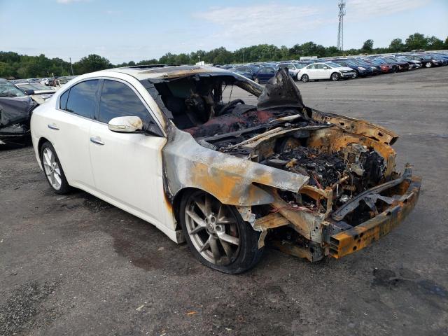 NISSAN MAXIMA S 2009 with VIN 1N4AA51E19C818105 - Photo from auction