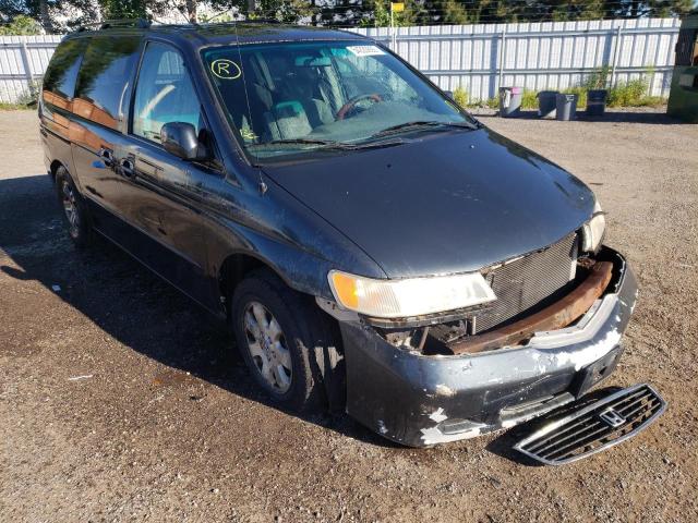 HONDA ODYSSEY EX 2004 with VIN 2HKRL18634H005974 - Photo from auction