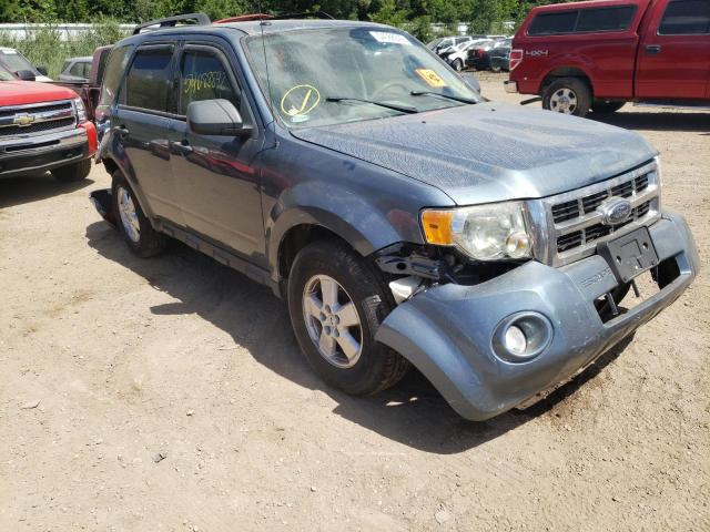 FORD ESCAPE XLT 2010 with VIN 1FMCU0D78AKA29014 - Photo from auction