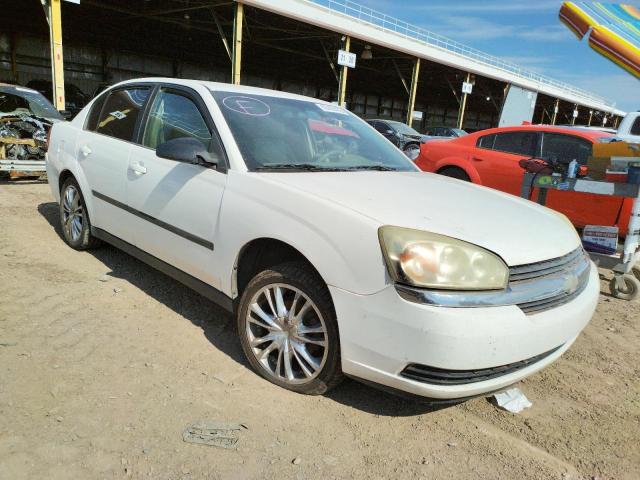 CHEVROLET MALIBU 2004 with VIN 1G1ZS52F84F160090 - Photo from auction