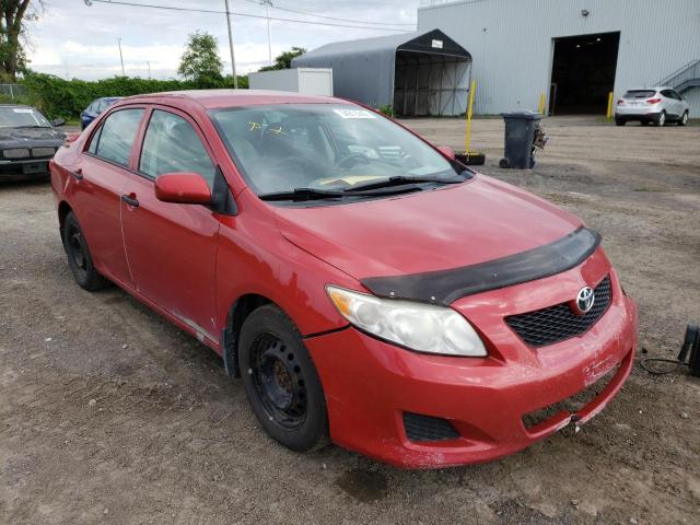 TOYOTA COROLLA BA 2010 with VIN 2T1BU4EE5AC335609 - Photo from auction
