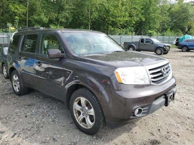 HONDA PILOT EX 2014 with VIN 5FNYF4H44EB019501 - Photo from auction