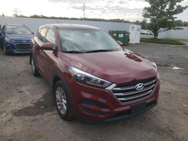 HYUNDAI TUCSON SE 2018 with VIN KM8J2CA47JU766489 - Photo from auction
