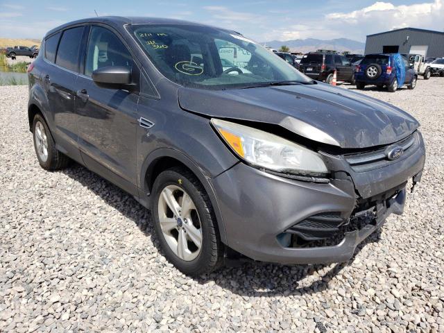 FORD ESCAPE SE 2014 with VIN 1FMCU9GX5EUB85912 - Photo from auction