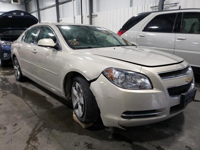 CHEVROLET MALIBU 1LT 2011 with VIN 1G1ZC5E19BF322724 - Photo from auction