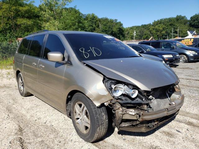 HONDA ODYSSEY EX 2005 with VIN 5FNRL38735B091081 - Photo from auction