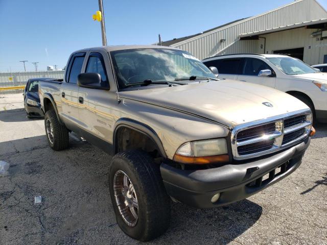 DODGE DAKOTA QUA 2002 with VIN 1B7HG48N22S666435 - Photo from auction