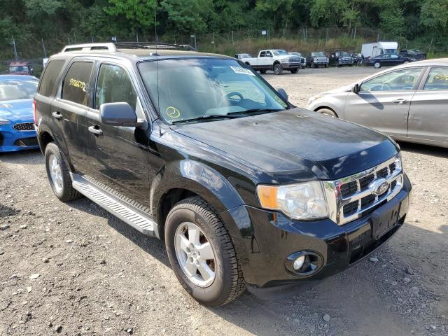 Photo 1 from auction – 2009 FORD ESCAPE XLT with VIN 1FMCU937X9KB30489