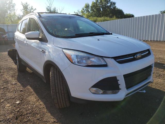 FORD ESCAPE SE 2014 with VIN 1FMCU9GX5EUB54109 - Photo from auction