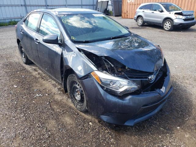 TOYOTA COROLLA L 2016 with VIN 2T1BURHE4GC492694 - Photo from auction