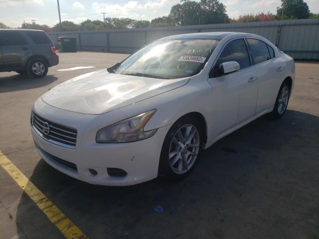 Photo 2 from auction – 2009 NISSAN MAXIMA S with VIN 1N4AA51E69C845039
