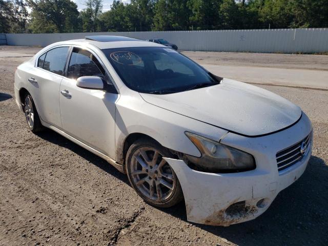 NISSAN MAXIMA S 2011 with VIN 1N4AA5AP5BC862955 - Photo from auction