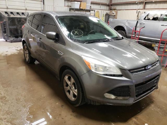 FORD ESCAPE SE 2014 with VIN 1FMCU0GX2EUC31482 - Photo from auction
