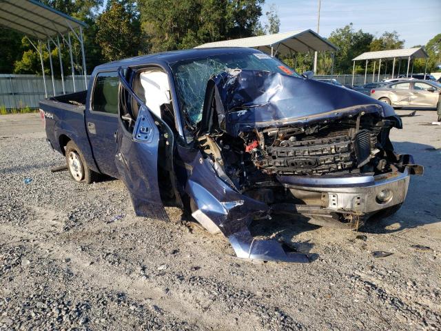 Photo 1 from auction – 2009 FORD F150 SUPER with VIN 1FTPW14V29FA50174